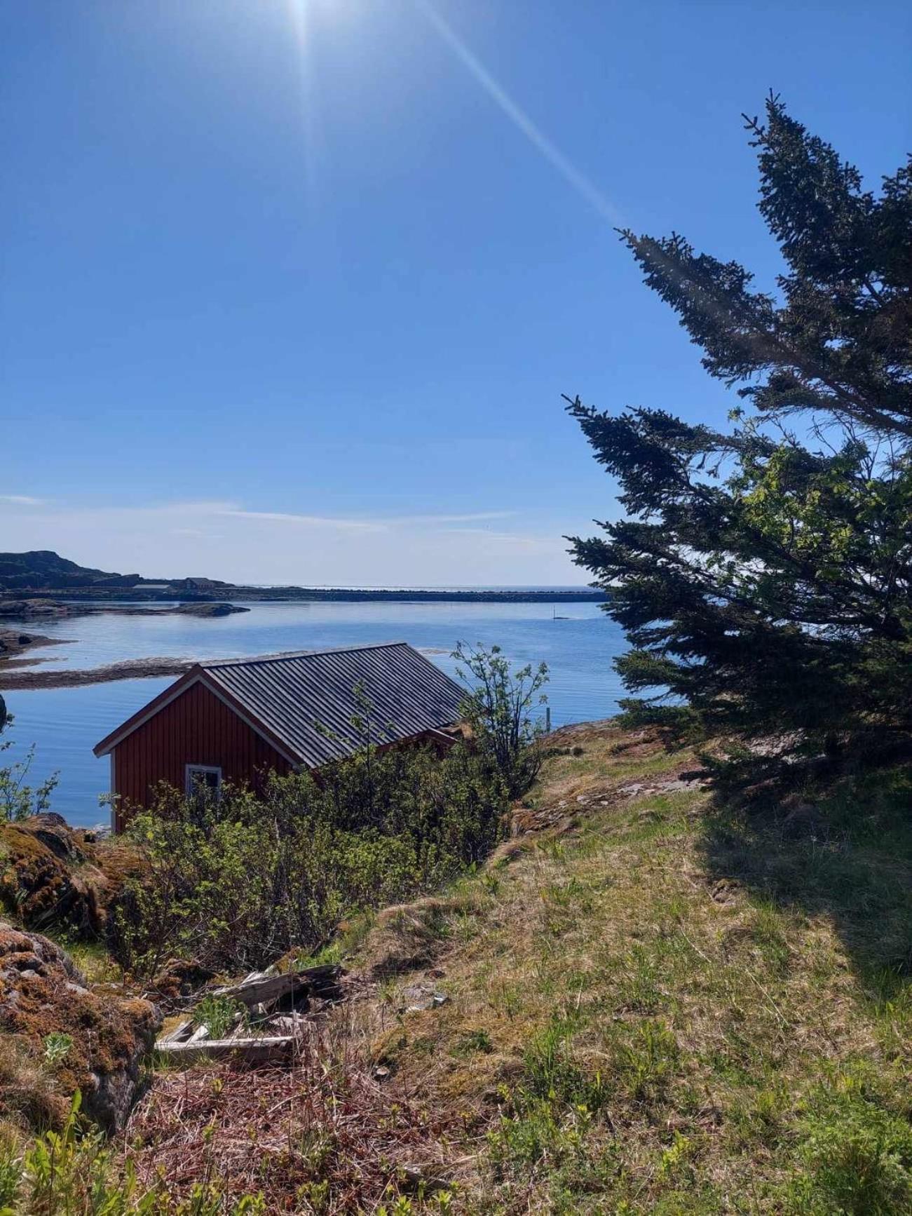 Moskenes Cabin *